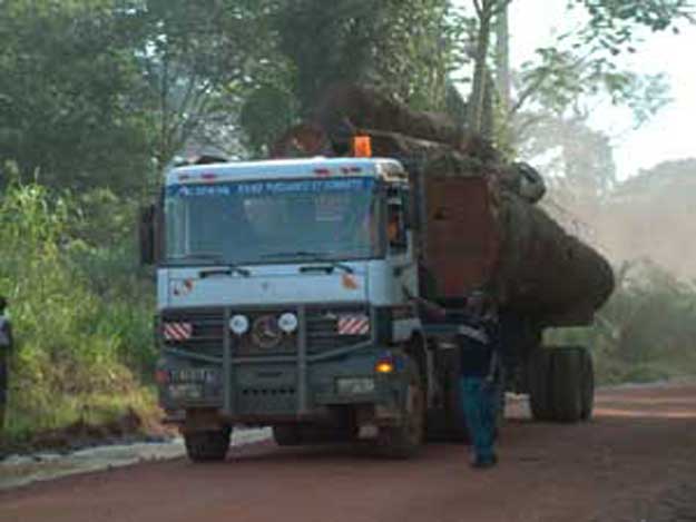 transport du bois au cameroun