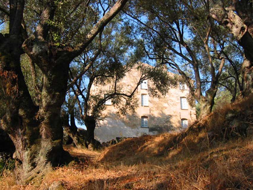 carnets de voyage corse - ajaccio - la maison milleli