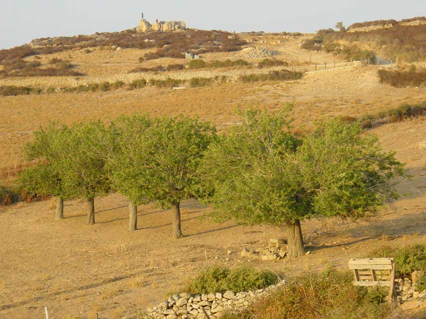 balagne - Sant' Antonino - soleil couchant