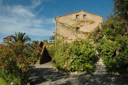 carnets de voyage corse - calvi - location villa nina-bora