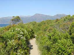 carnets de voyage corse- saint florent - sentier de randonne du littoral