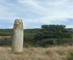 circuit corse - Sartne - commune de Grossa et le menhir de Vaccil Vecchiu