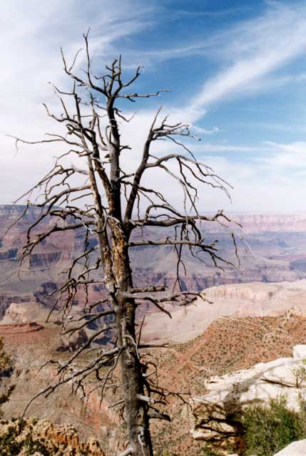 grand canyon