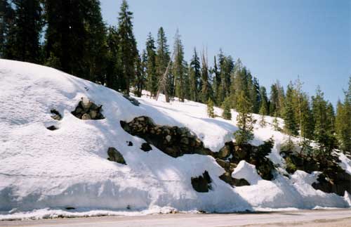 yosemite park - tioga pass