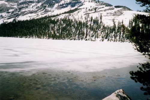 yosemite park - tolumne meadows