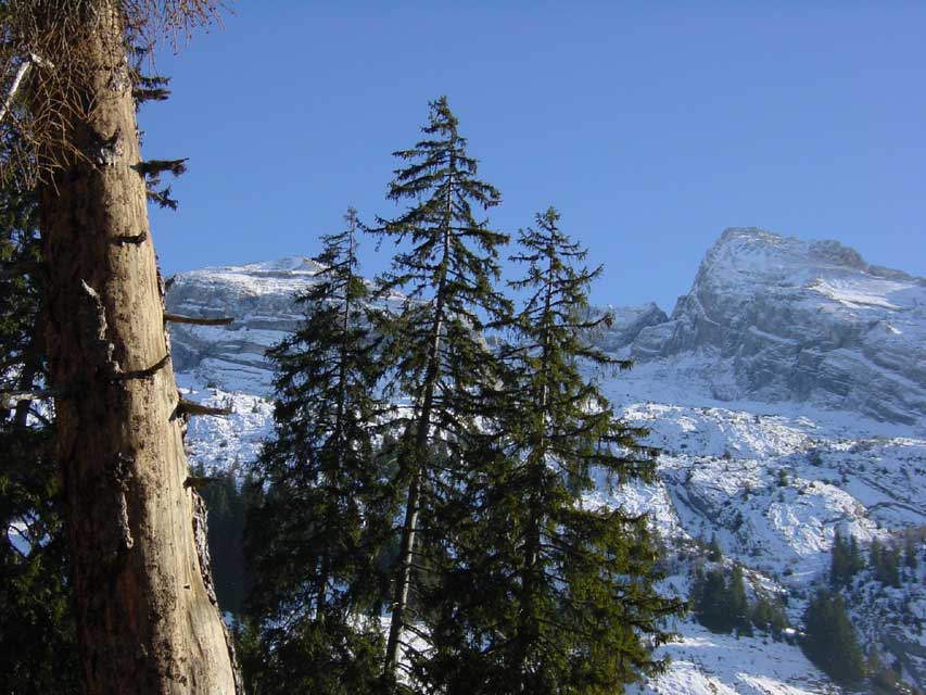 escapade - aravis le grand bornand - la chane des aravis