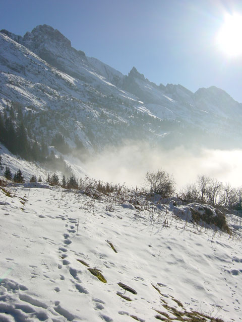 escapade - aravis le grand bornand - chalet-des-troncs - la petite miaz et le mont fleuri