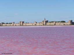 escapade en camargue - les remparts d' Aigues Mortes