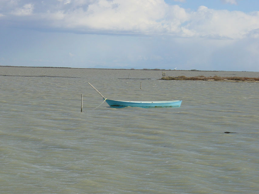 barque de pcheur sur un tang de camargue