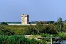 escapade en camargue - la tour carbonniere sur la route de saint laurent d'aigouze