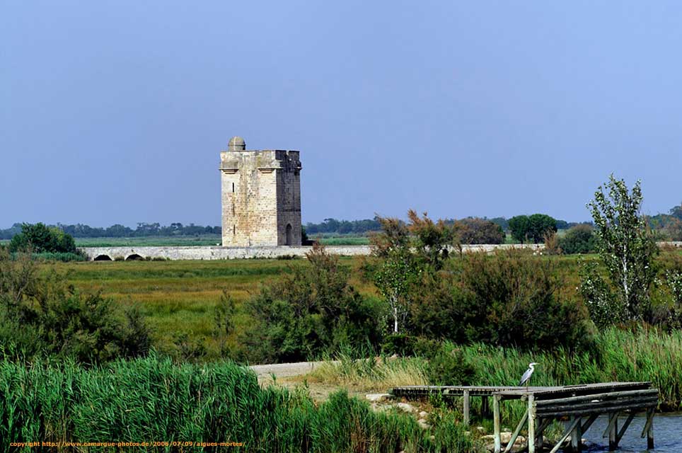 escapade en camargue - la tour carbonnire prs de saint laurent d'aigouze