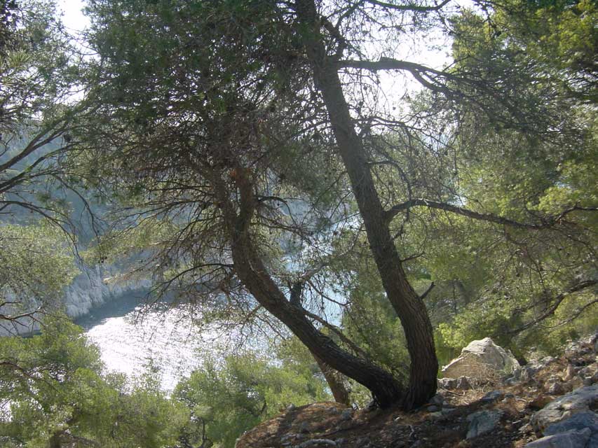 calanque de port-pin