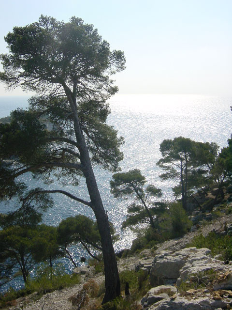 calanque de port-pin