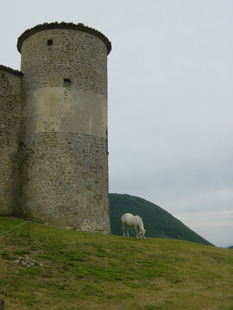 drme provenale - chateau de comps