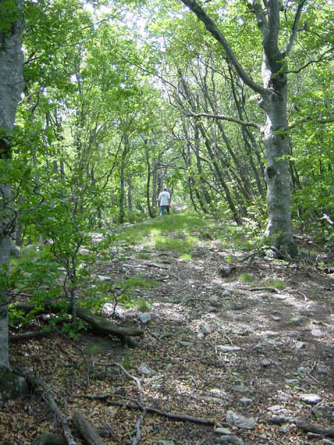 la montagne saint-maurice - le chemin de crte