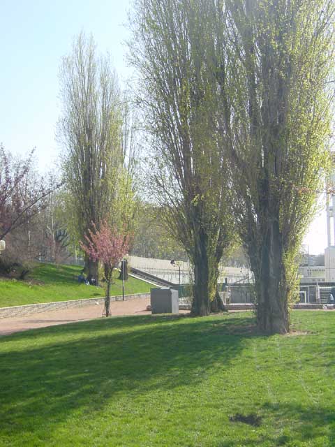 escapade-lyon-guillotiere-arbres-mai2005-094.jpg