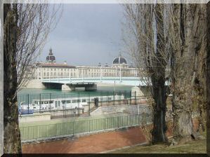 escapade-lyon-guillotiere-arbres-mars2005-003.jpg