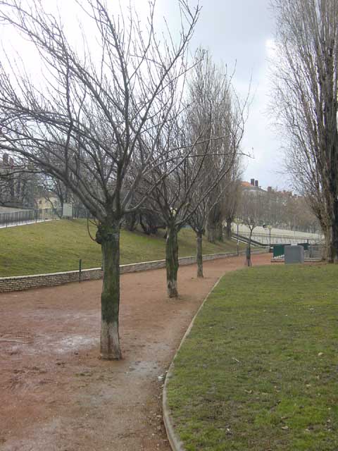 escapade-lyon-guillotiere-arbres-mars2005-004.jpg
