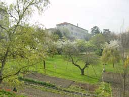 les jardins de l'institut sainte-marie