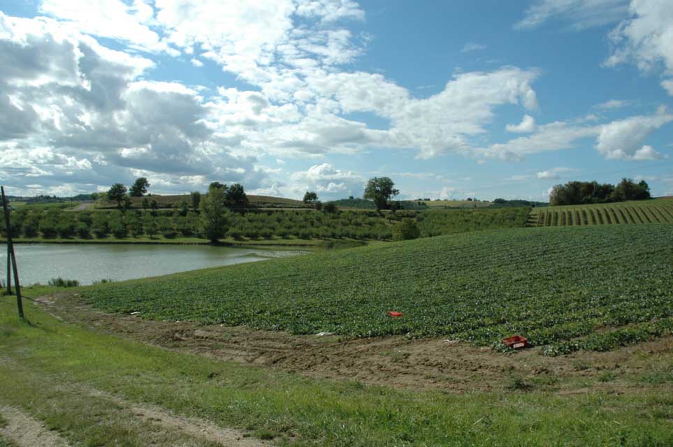 escapade-quercy-montpezat-de-quercy-316.jpg