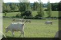 domaine de lafon - montpezat de quercy