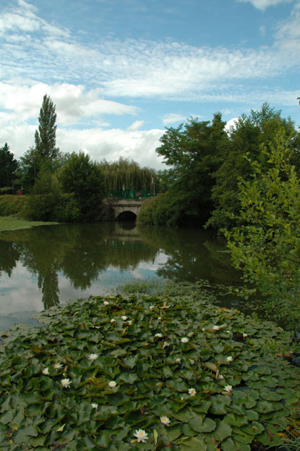 temple-sur-lot - les nnuphars