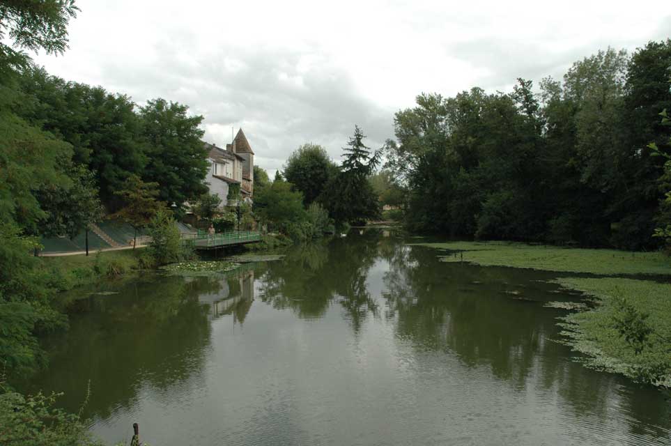 temple-sur-lot - les nnuphars