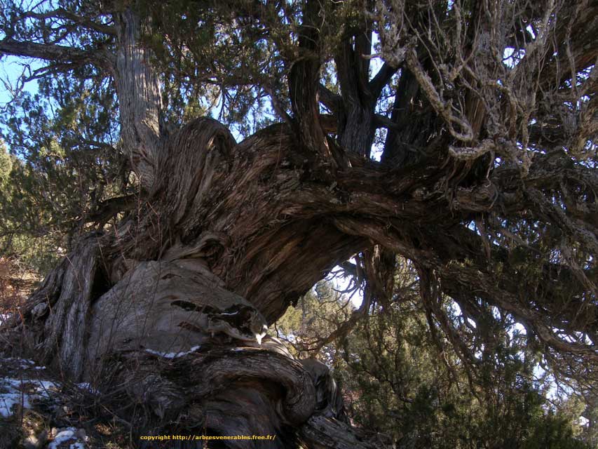 carnets de voyage france - escapade Queyras - Saint Crepin - Gnevrier Thurifres