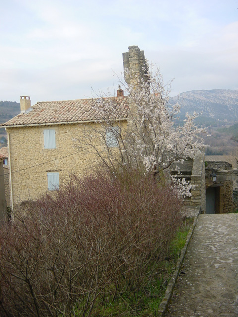 escapade ventoux crillon le brave