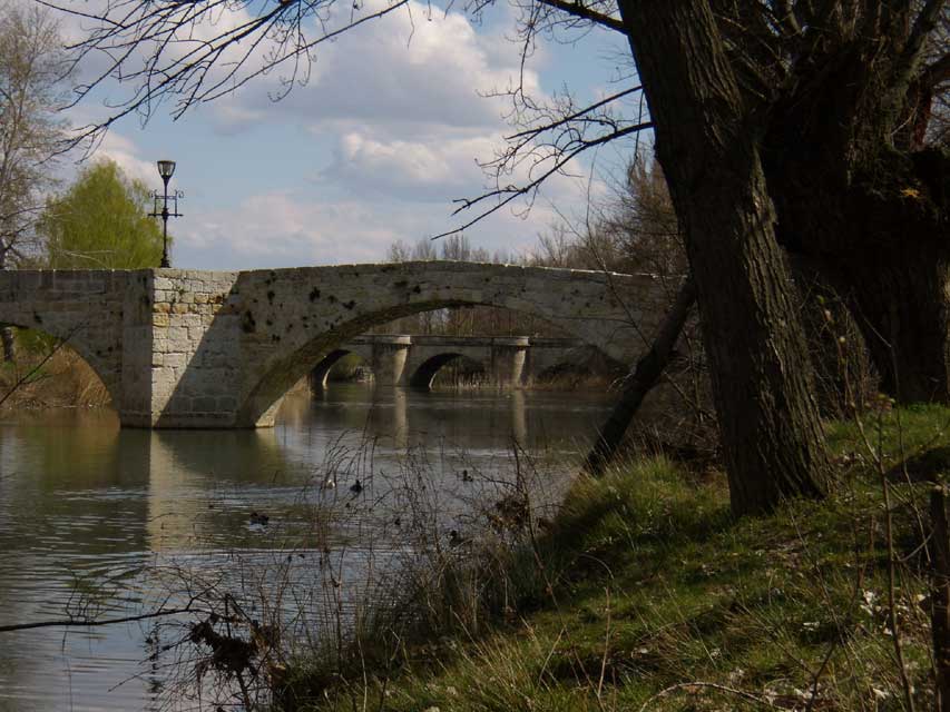 espagne-verin-palencia-pont-rio-carrion.jpg