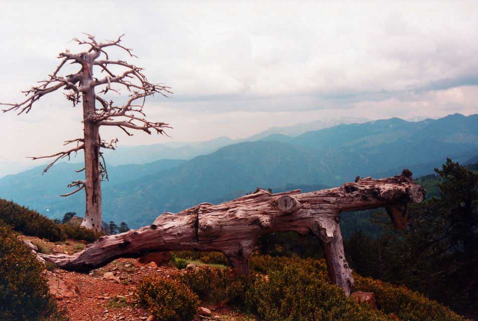 carnets de voyage grce - les monts du pinde