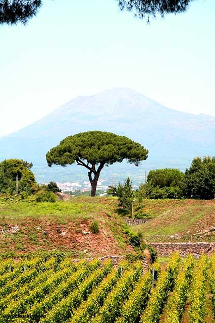 carnets de voyage italie - le vsuve