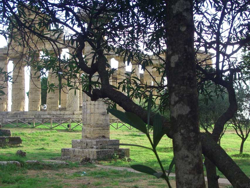 carnets de voyage italie - paestum - temple italique