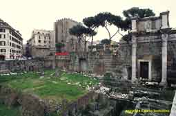 rome - forum nerva