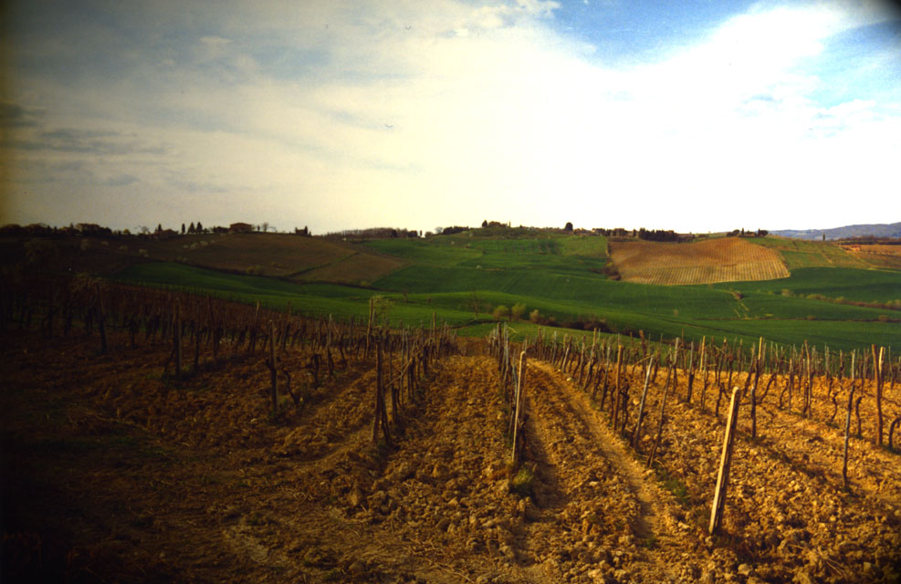 toscane - la route des vins du chianti