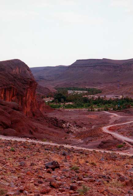 carnets de voyage maroc - ouarzazate - oasis de fint