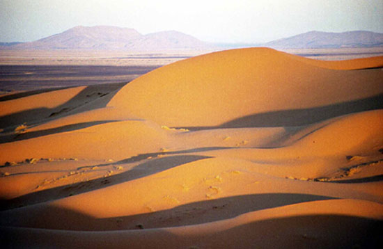 maroc les dunes de merzouga