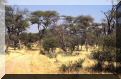 namibie-kalkfeld2.jpg