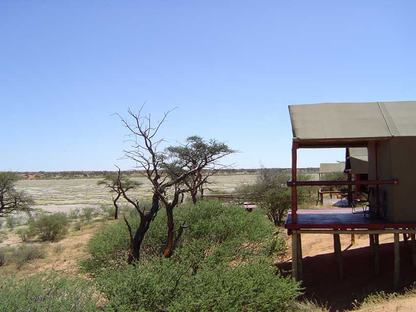 namibie-l-kalahari-DSC00277.jpg