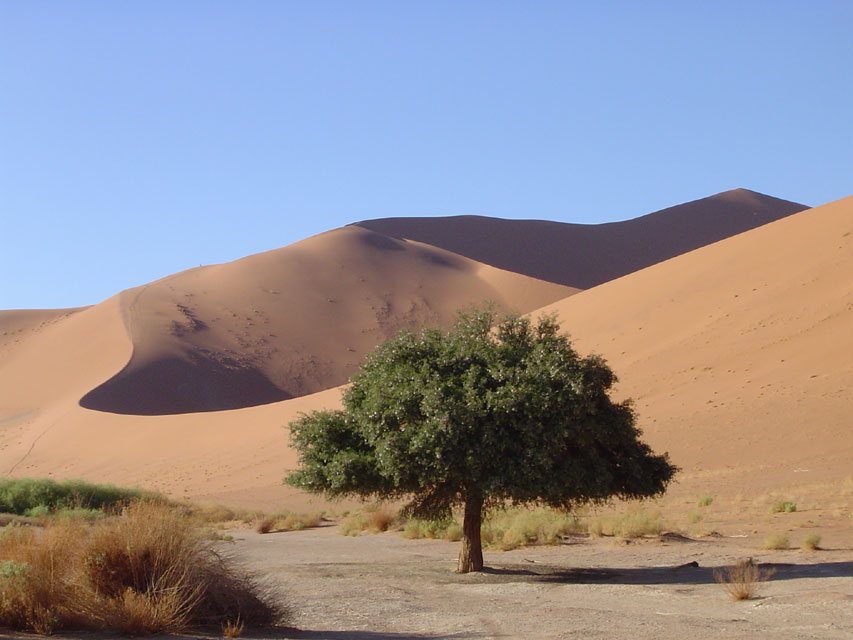 namibie-l-sossusvlei-DSC00381.jpg