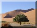 namibie-l-sossusvlei-DSC00381.jpg