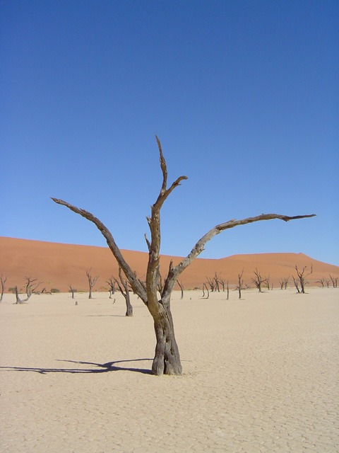 namibie-l-sossusvlei-DSC00400.jpg