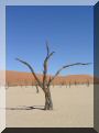 namibie-l-sossusvlei-DSC00400.jpg