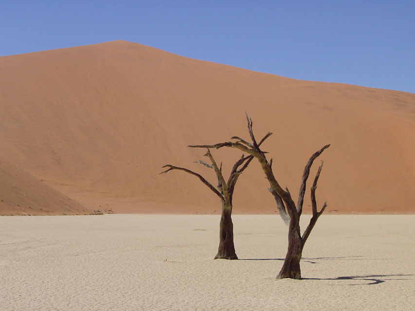 namibie-l-sossusvlei-DSC00401.jpg