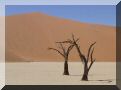 namibie-l-sossusvlei-DSC00401.jpg