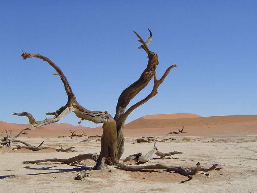 namibie-l-sossusvlei-DSC00402.jpg