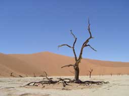 carnets de voyage namibie - circuit 9 jours - tape sossusvlei et daed vlei