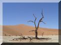 namibie-l-sossusvlei-DSC00403.jpg