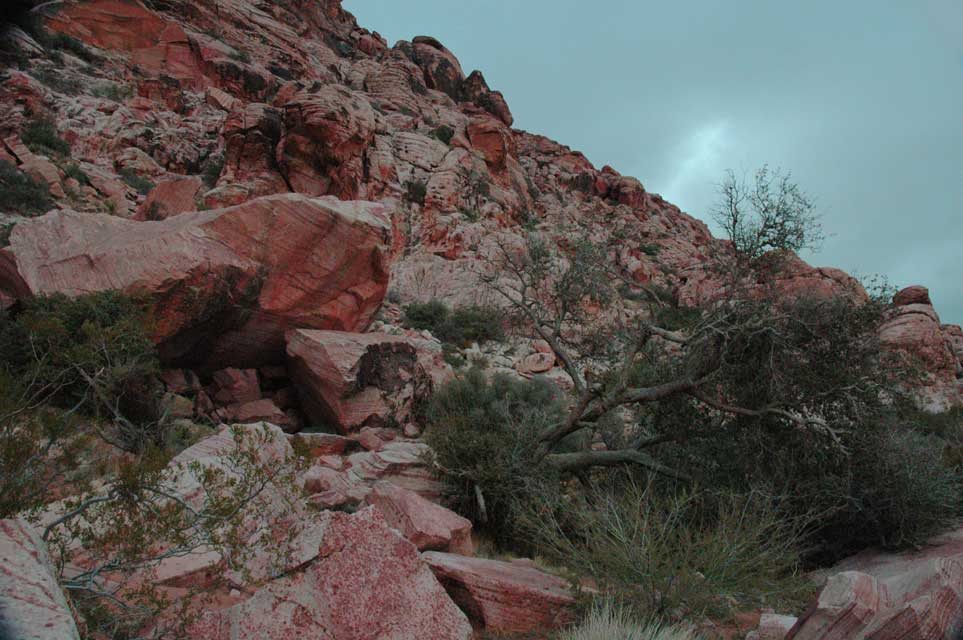 carnets de voyage usa - living in las vegas - red rock canyon