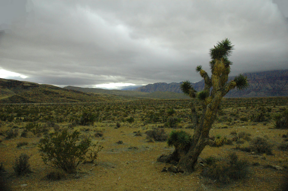 carnets de voyage usa - living in las vegas - red rock canyon